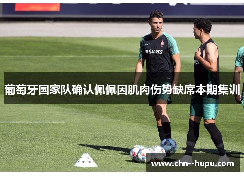 葡萄牙国家队确认佩佩因肌肉伤势缺席本期集训