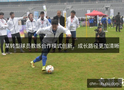 某转型球员教练合作模式创新，成长路径更加清晰
